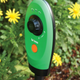 Illustration for article titled Timelapse Garden Video Camera Watches Your Garden Grow So You Don't Have to